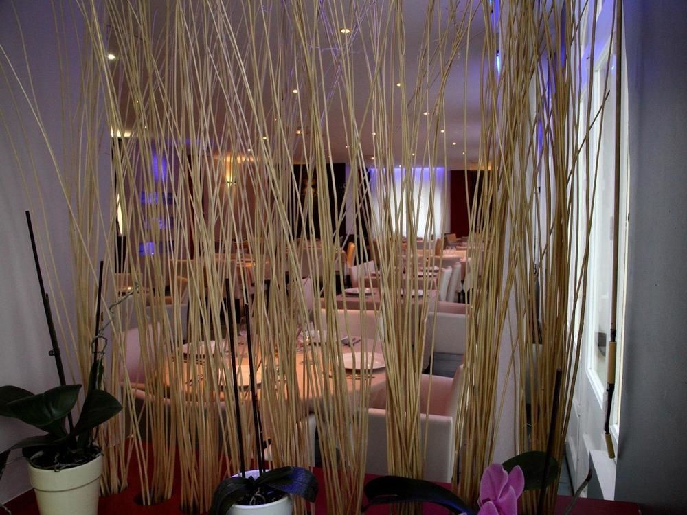 Logis Hotel Restaurant Le Castel Fleuri Saint-Jean-en-Royans Exterior photo